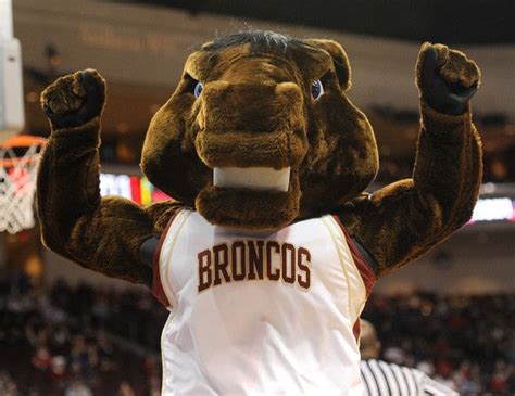 Why the Broncos' Team Mascot Makes a Difference